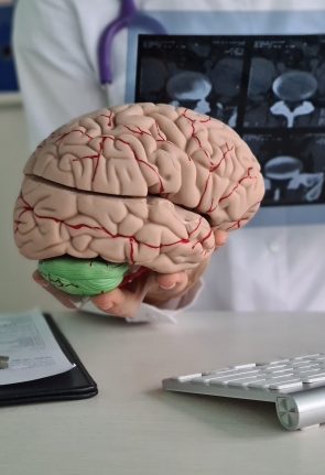 Doctor examines x-ray of human brain in clinic closeup. X-ray examination of head